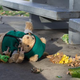 A stuffed animal that was part of a makeshift memorial to Tamir Rice lies on the ground at the Cleveland recreation center where a police officer fatally shot the 12-year-old boy Nov. 24, 2014.
JORDAN GONZALEZ/AFP/Getty Images